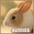 bunnies fanlisting button