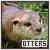 Otters fanlisting button