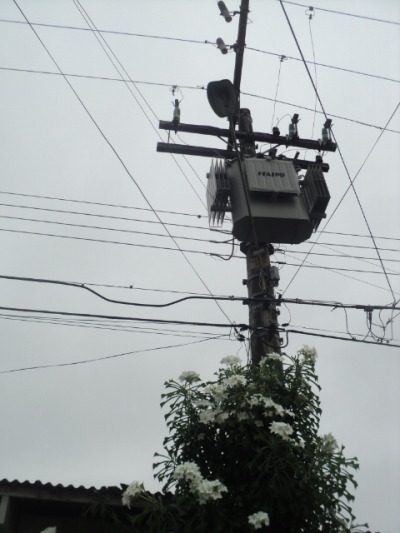 Telephone pole